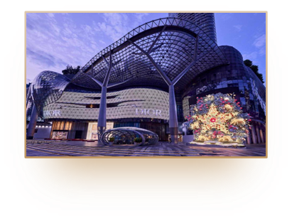 Dior ION Singapore Project